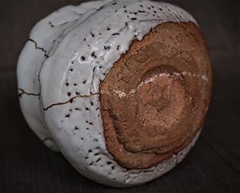 Amazon.co.jp: 作兼田昌尚萩茶碗銘：やぶれかぶれ共箱・金継