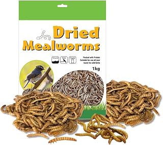 AAMEN Dried Mealworms 1kg, The Ultimate Wild Bird Food, Attract More Birds to Your Garden, Nutrient-Rich Wild Bird Food.