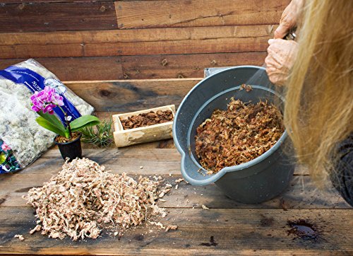 Supermoss (22330) Orchid Sphagnum Moss Dried, Natural, 2.1Lbs Small Bale #TOP2