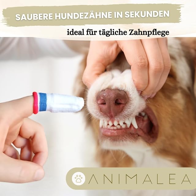 Foto 2 de 5 de Animalea 2 cepillos de dientes antiplaca para perros, cepillo de dientes para perros con forma de dedo