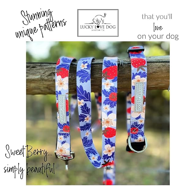 Foto 2 de 5 de Lucky Love Dog Collar de martingala, collares antideslizantes de primera calidad Fun Girl