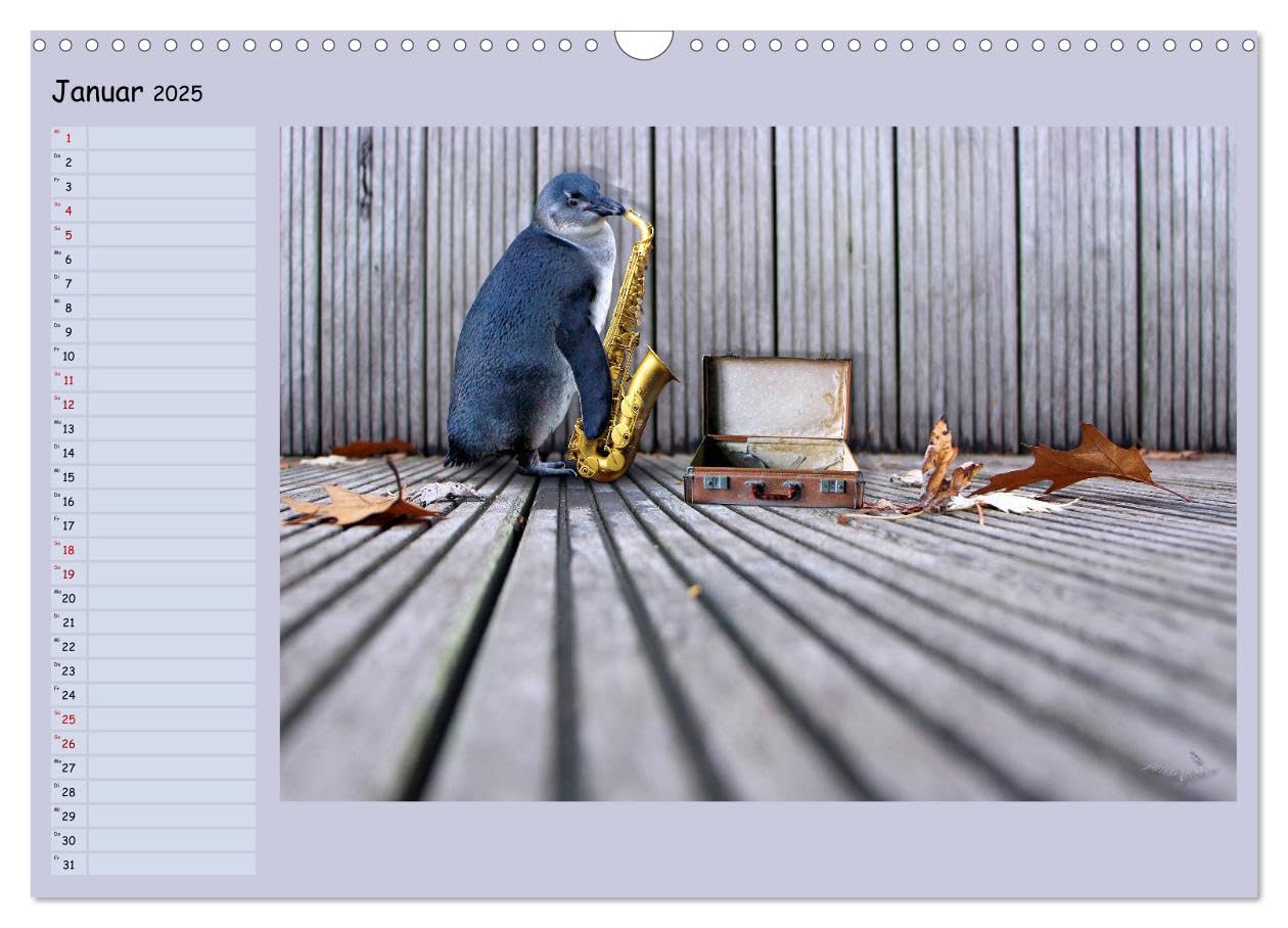 Pinguine privat Planer (Wandkalender 2025 DIN A3 quer), CALVENDO Monatskalender: Momentaufnahmen aus ihrem Alltag (CALVENDO Spass)