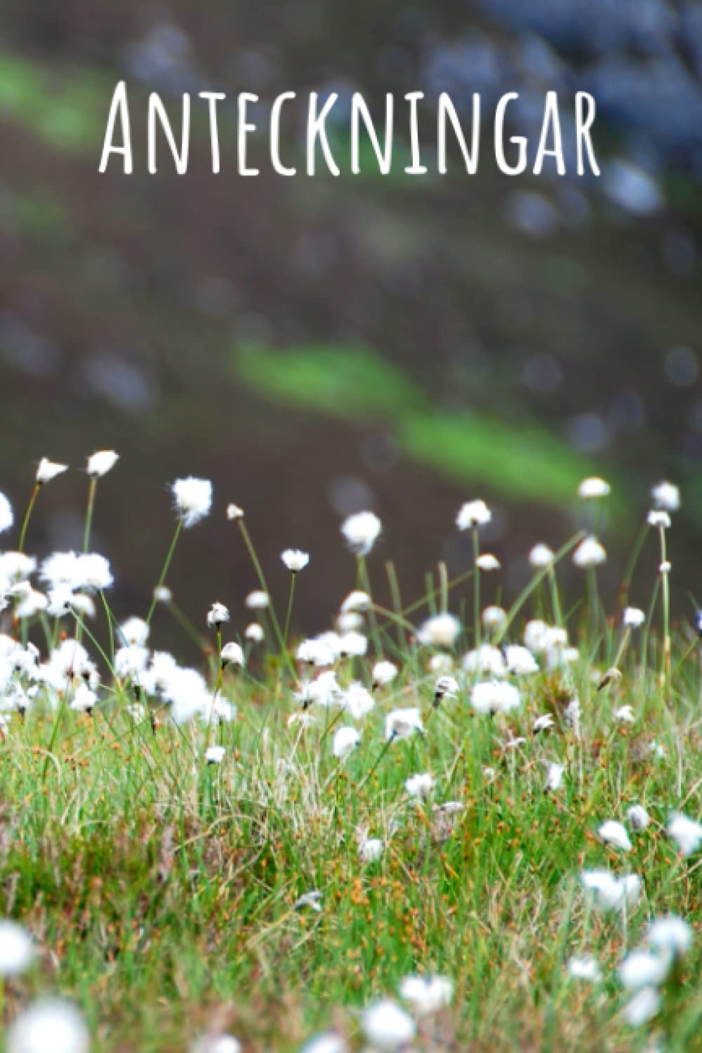 Anteckningsbok: Praktiskt DIN A5-format | 100 linjerade sidor för att skriva in idéer och tankar | mjukt omslag | med vackert landskapsmotiv | Skottland