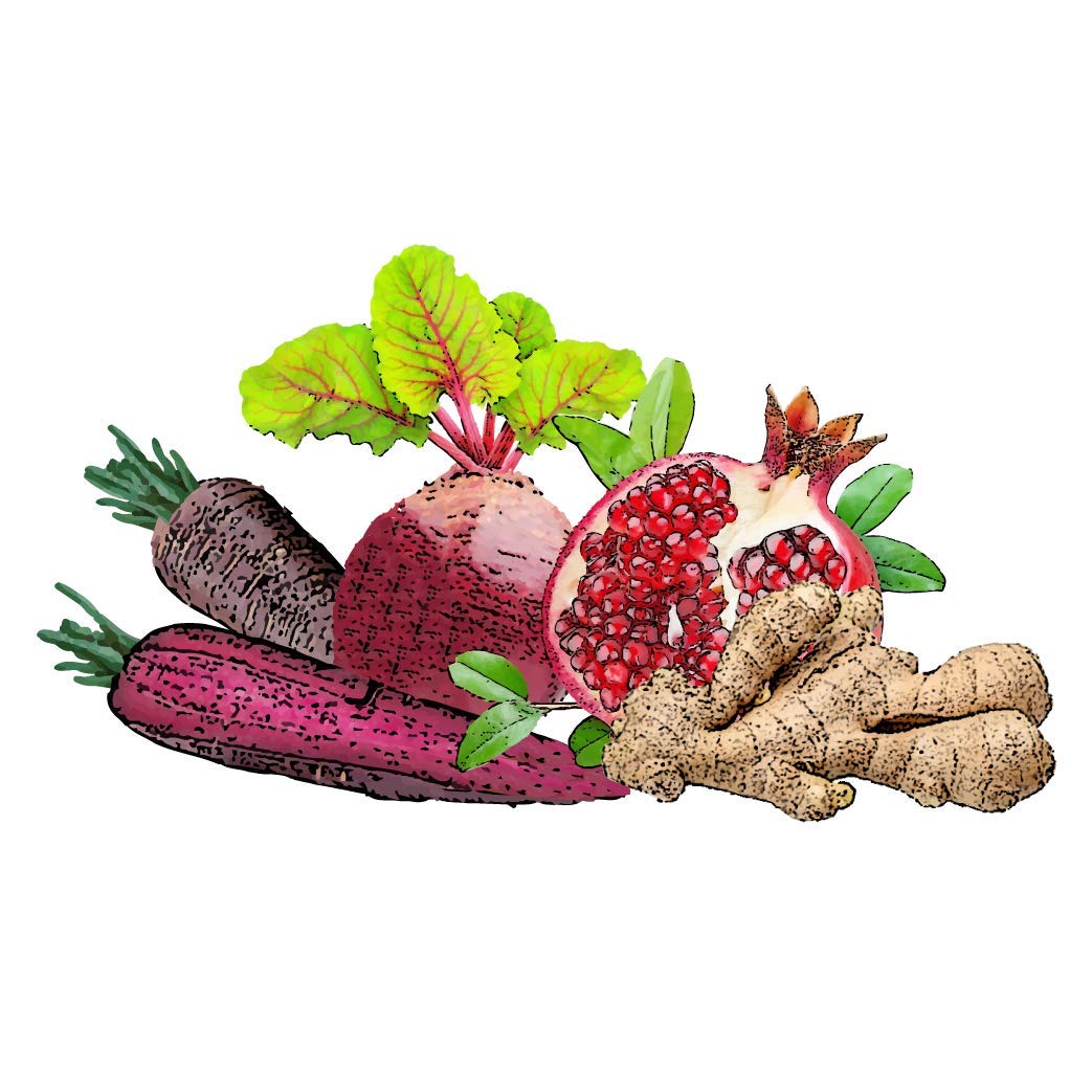 Granatapfel-Violette Karotte-Rote Bete-Ingwer - 100% Bio-Direktsaft (naturtrüb) - 12 x 250 ml
