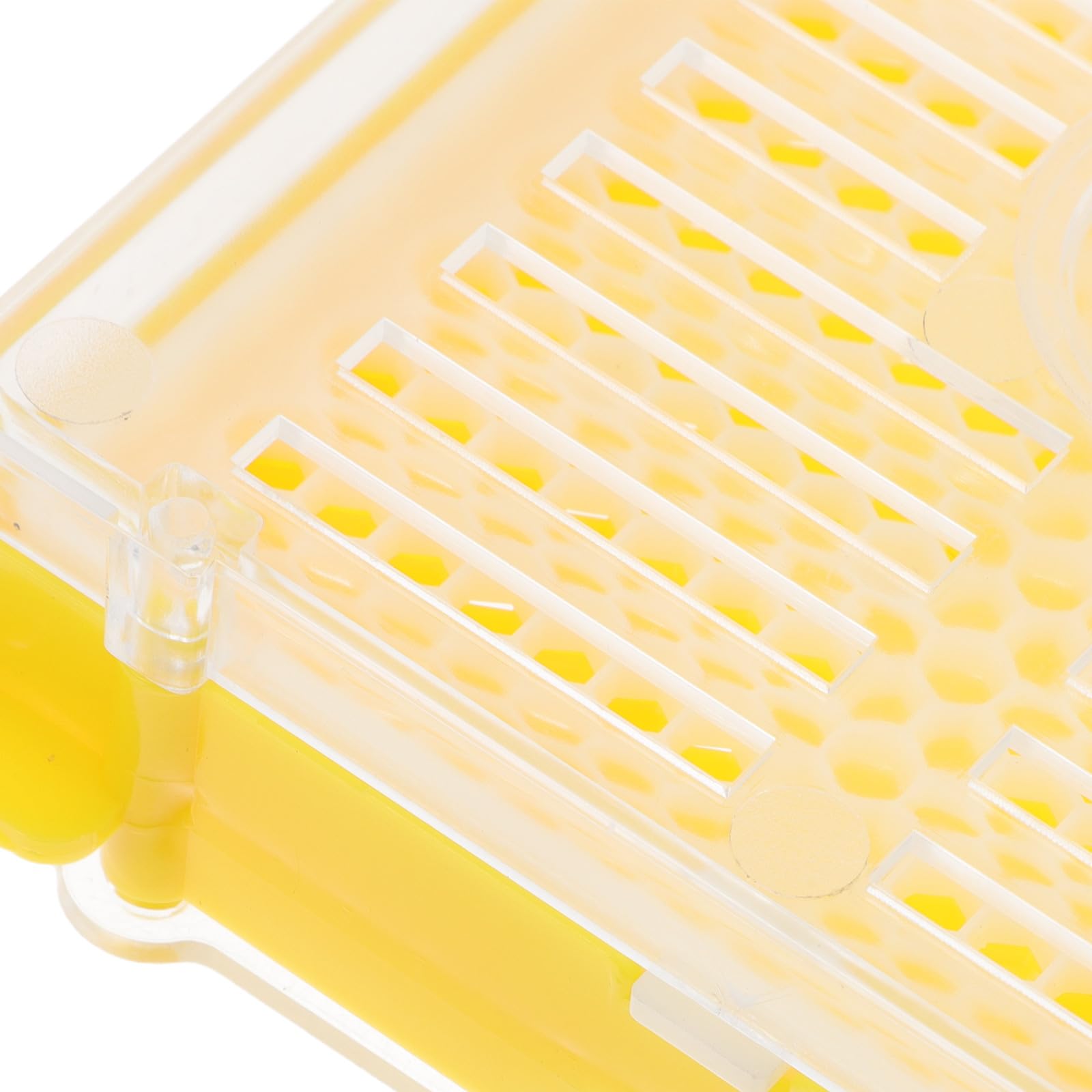 BESPORTBLE 1 Set di Attrezzature per L'allevamento Delle Regine: Kit per Arnia, Attrezzature per La Cura Delle Api, Strumento di Allevamento, Clip per Innesto, Forniture per L'allevamento Regine per