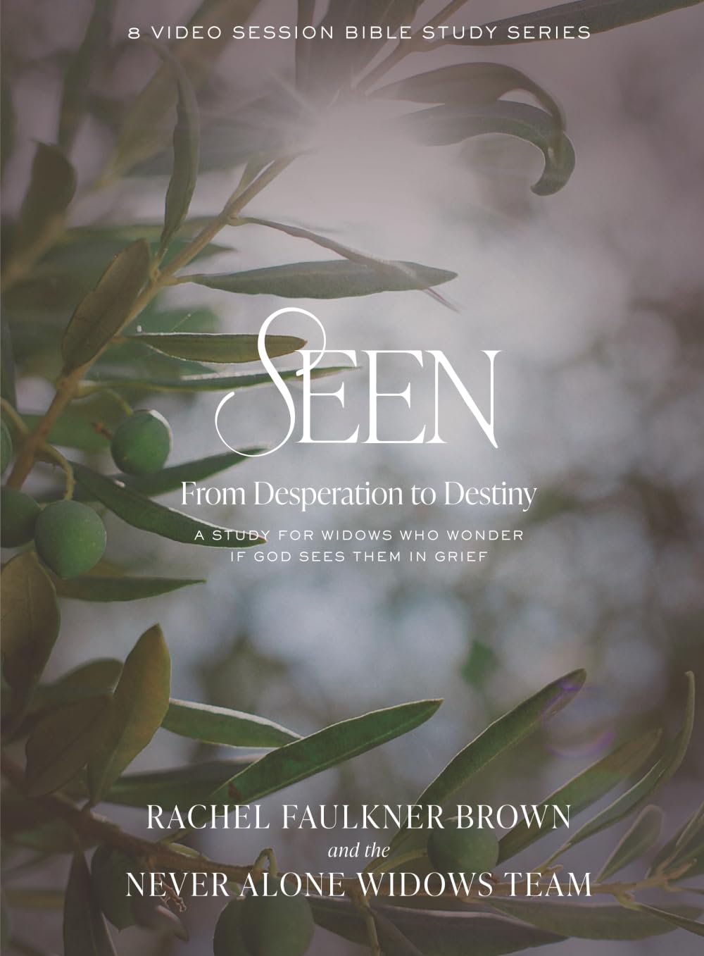 Seen: From Desperation to Destiny: A Study for Women Who Wonder If God Sees Them In Grief