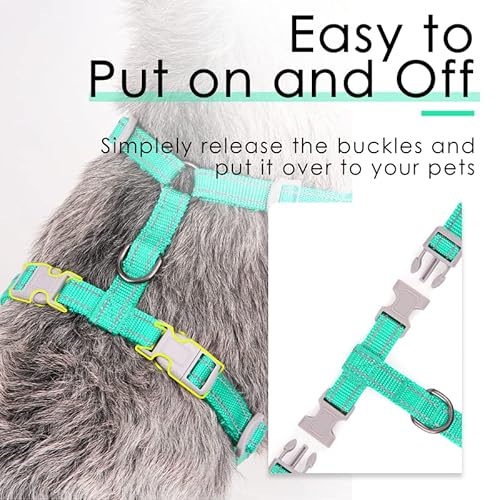 Thinkpet Reflective Breathable Soft Air Mesh No Pull Puppy Choke Free Over Head Vest Harness For Puppy Small Medium Dogs And Cats Teal Medium #TOP4