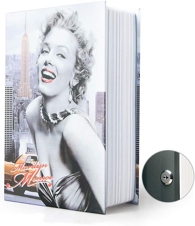 Small Sized Diversion Book Safe Storage Box, Dictionary Secret Safe Can