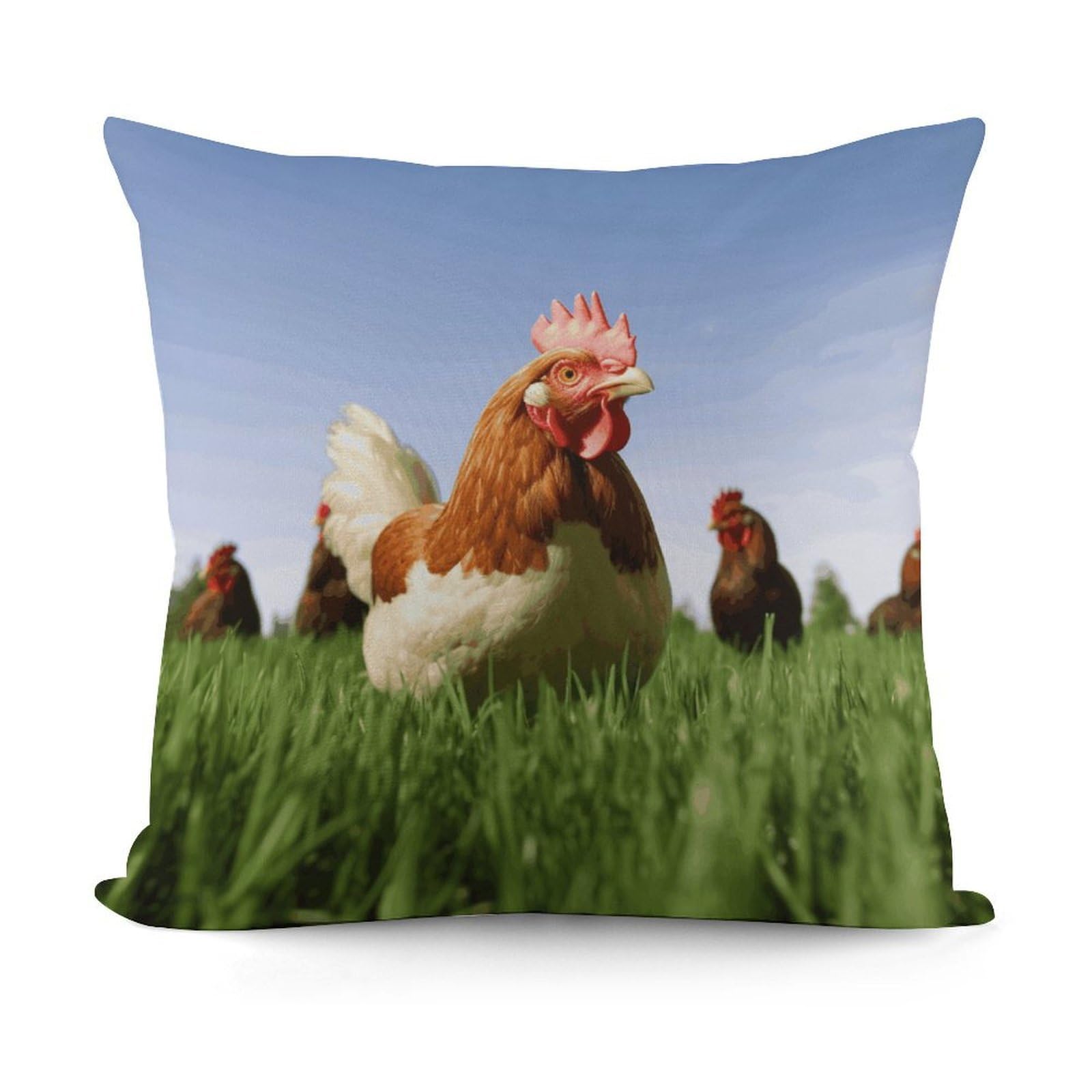 VstaDank Funny Chicken Grass Throw Pillow Covers Fade-Resistant Plush Pillow Case Cozy Square Cushion Case Removable Pillowcase Exquisite Pillow Shams Soft Pillow Protector 18"x18"