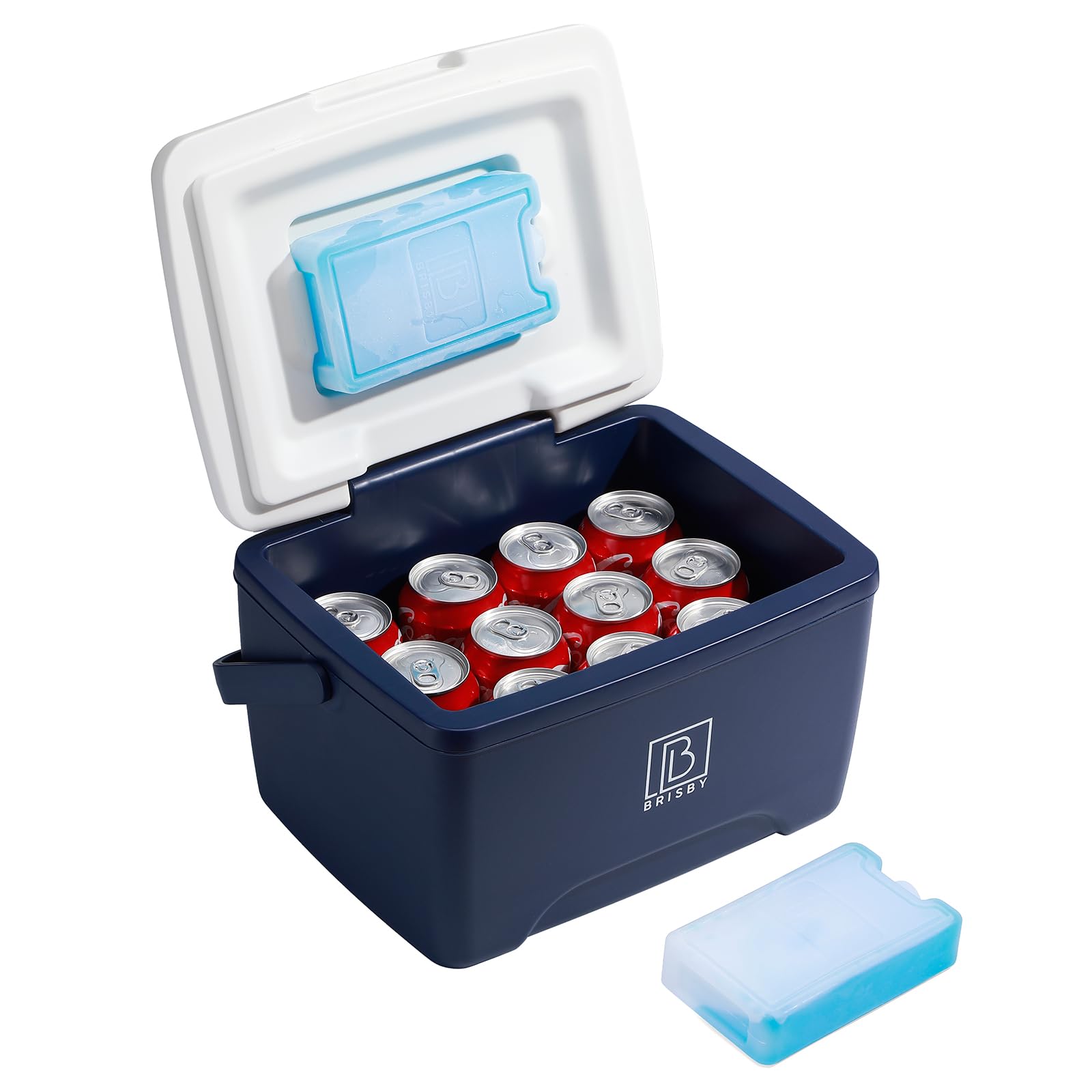 Brisby Kühlbox 8 Liter - 18 Stunden warm - 40 Stunden kühl - Inklusive 2 große Kühlelemente 450 ML -Kühltasche für Arbeit, Camping, Grillen oder Urlaub – BPA-frei