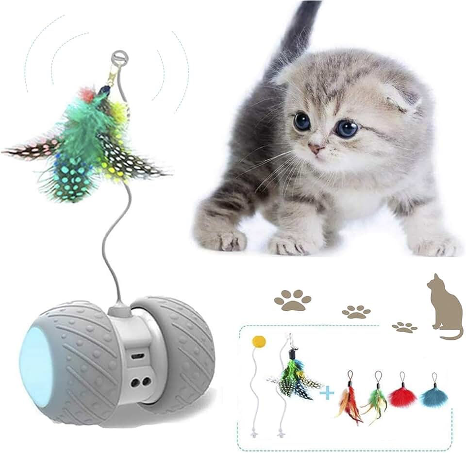 Amazon.es juguete robot gato