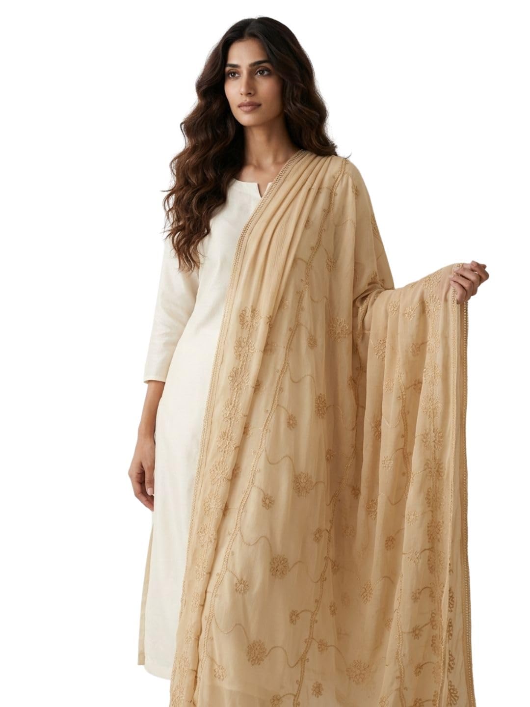 Women's Beige Embroidered Chiffon Dupatta-image-31