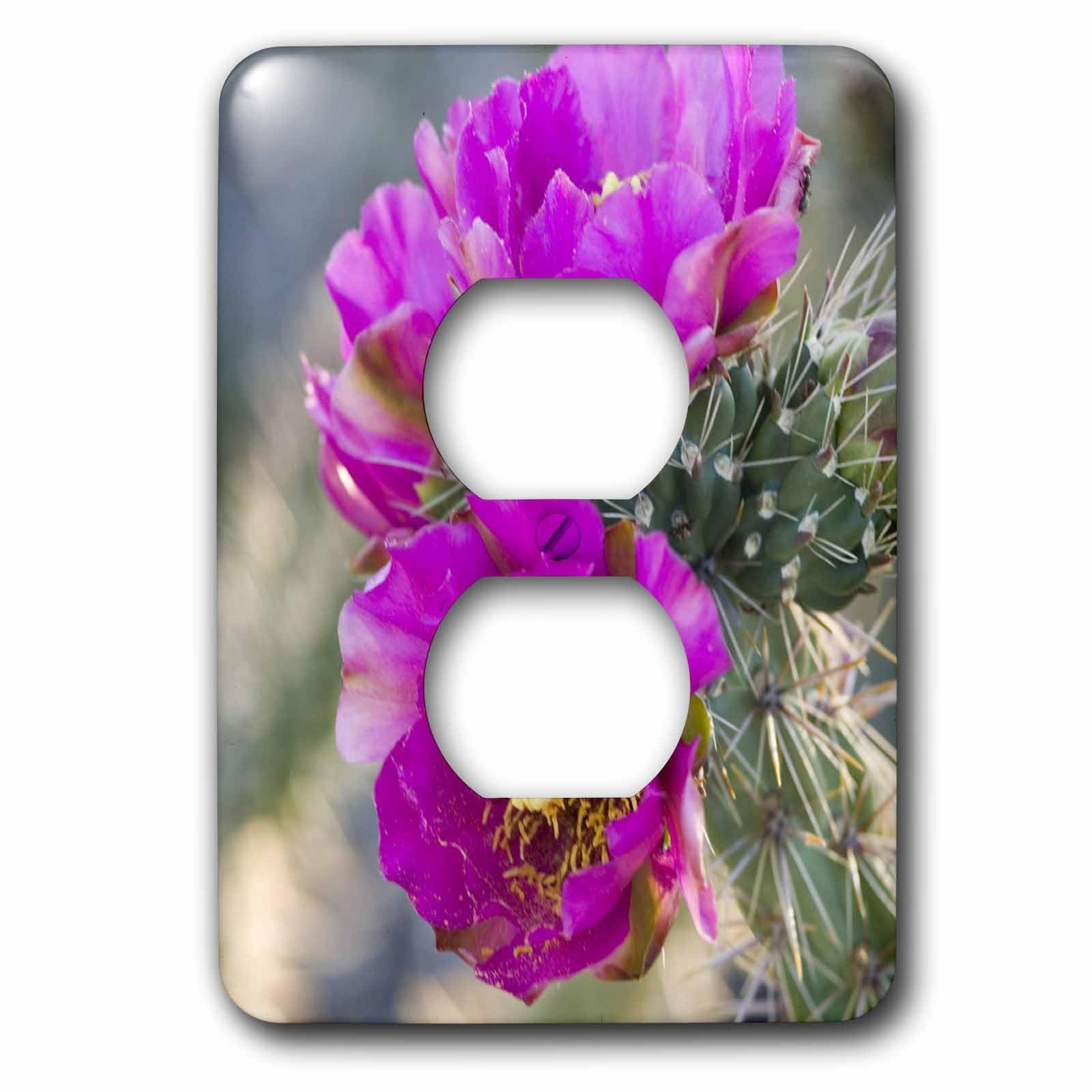 Tapa de interruptor 3dRose para ocultar imperfecciones de pintura con arte de cactus