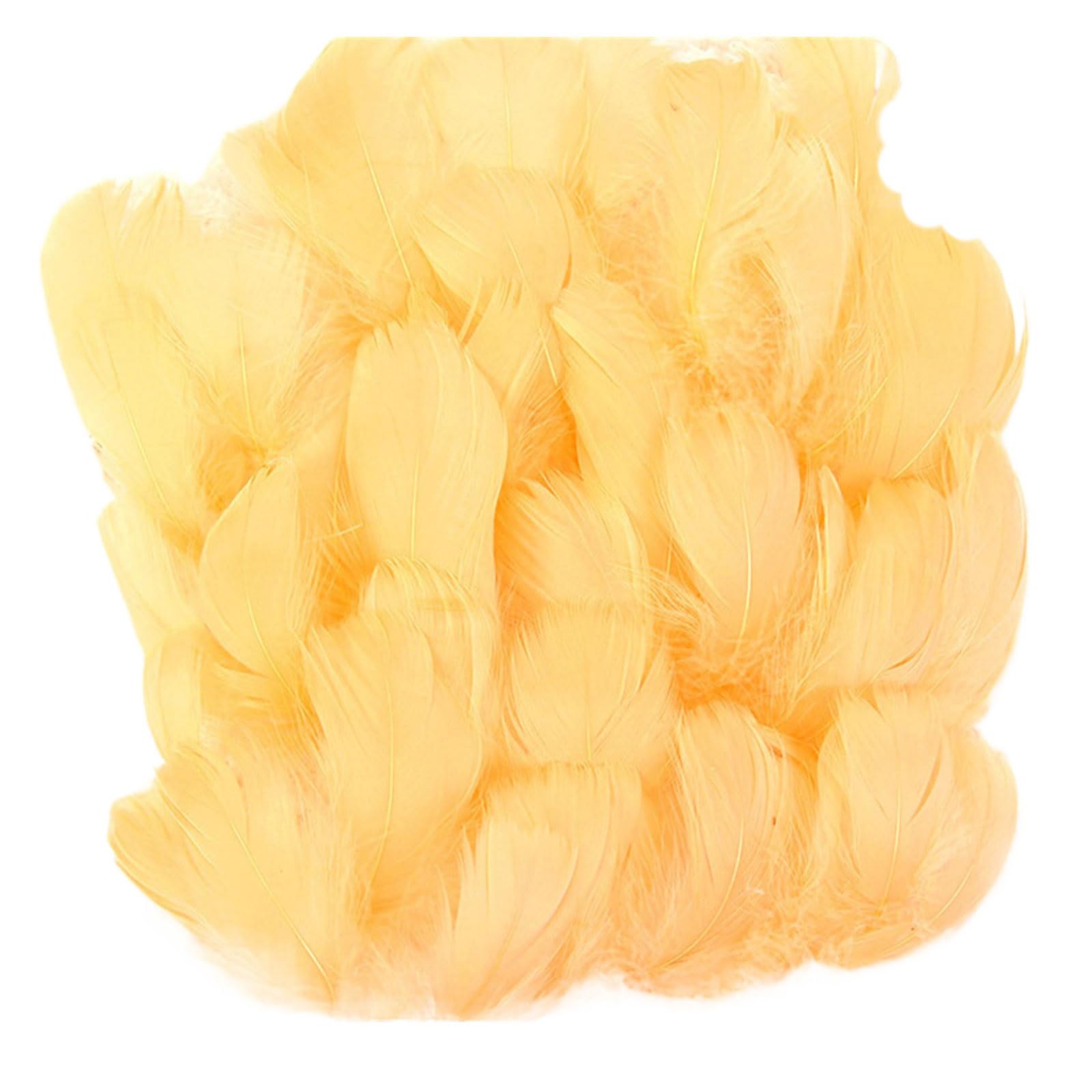 Jazuaiao 100Pcs Colorful Craft Feathered Adornment for Craft Use in Dream Catchers Earrings and Festival Decorations Feathered Decorations