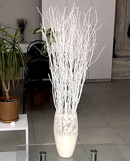 ECOVENIK 25 psc - Branches - 73 cm, Natural Birch Twigs, Pack of 20-25 Stems, Long for Floor vases, (White-Grey)