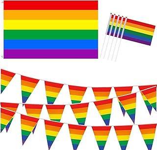 22 PCS Pride Flags Pride Decorations, Gay Pride Flag (3 X 5 Ft) LGBT Flag, 16.4ft Rainbow Pennant Banner, 20Pcs Pride Hand Flags for Party, Celebration, Home, Bars, Restaurants, Garden Decoration