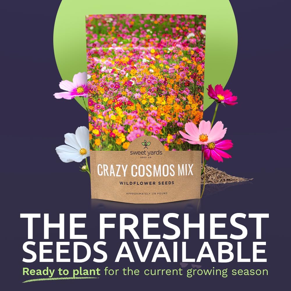 Cosmos Seeds Wildflower Mixture - Bulk Quarter Pound Bag - Over 20,000 Seeds - Pink, Yellow, Orange, Red, Purple and White Mixed Species! 1/4 Pound Bag