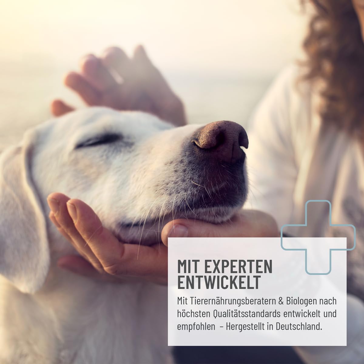 Comprimés de levure de bière ReaVET pour Chiens, 500 pièces - entièrement naturels, de qualité supérieure, pour Un Pelage Brillant et Fort + Une Peau Vitale