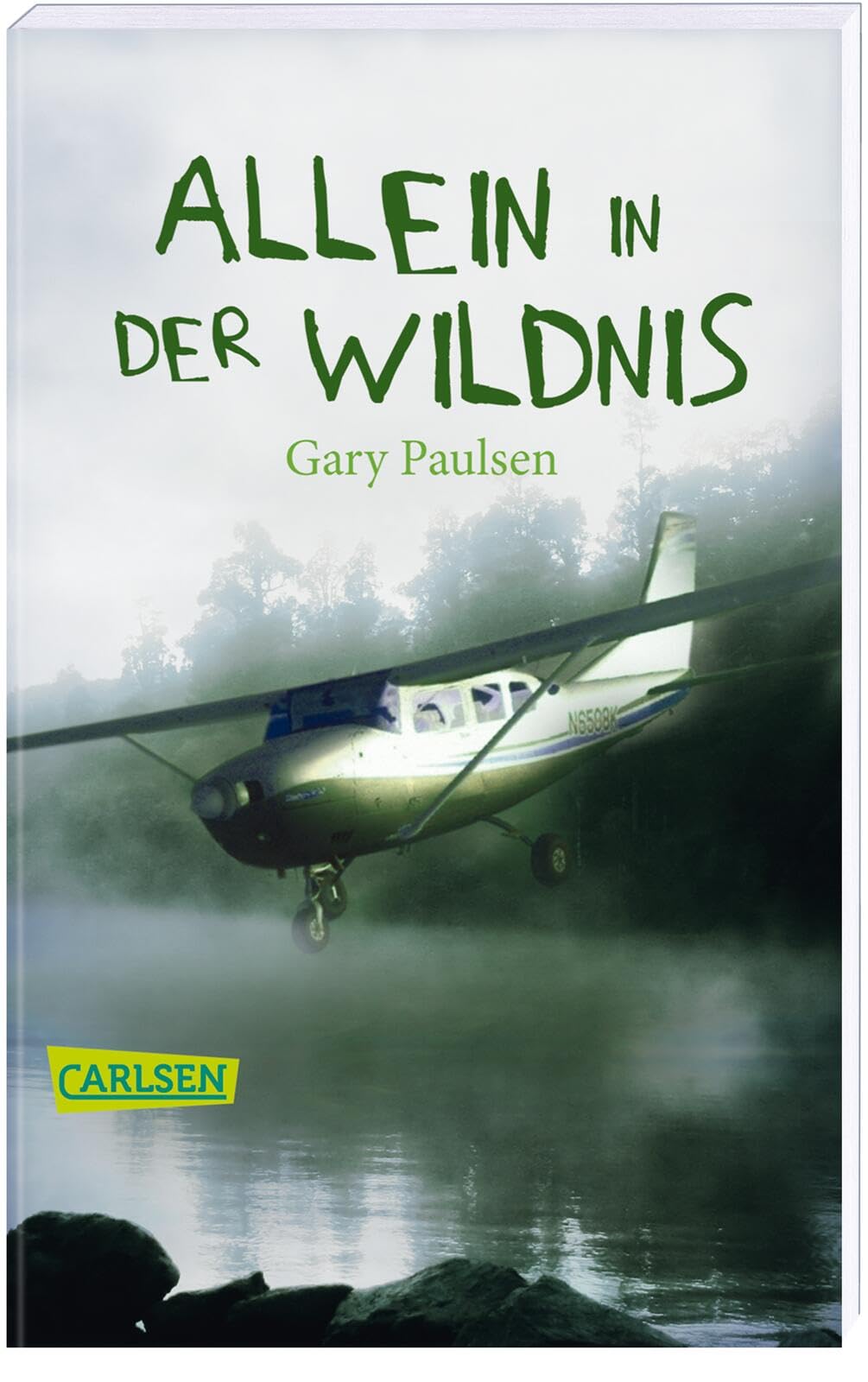 Allein in der Wildnis: Ein packendes Jugendbuch für alle Abenteuerer ab 10!