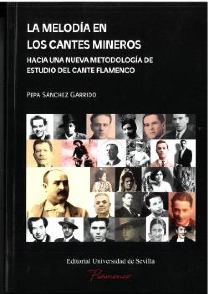 La melodía en los cantes mineros: Hacia una nueva metodología de estudio del cante flamenco: 13