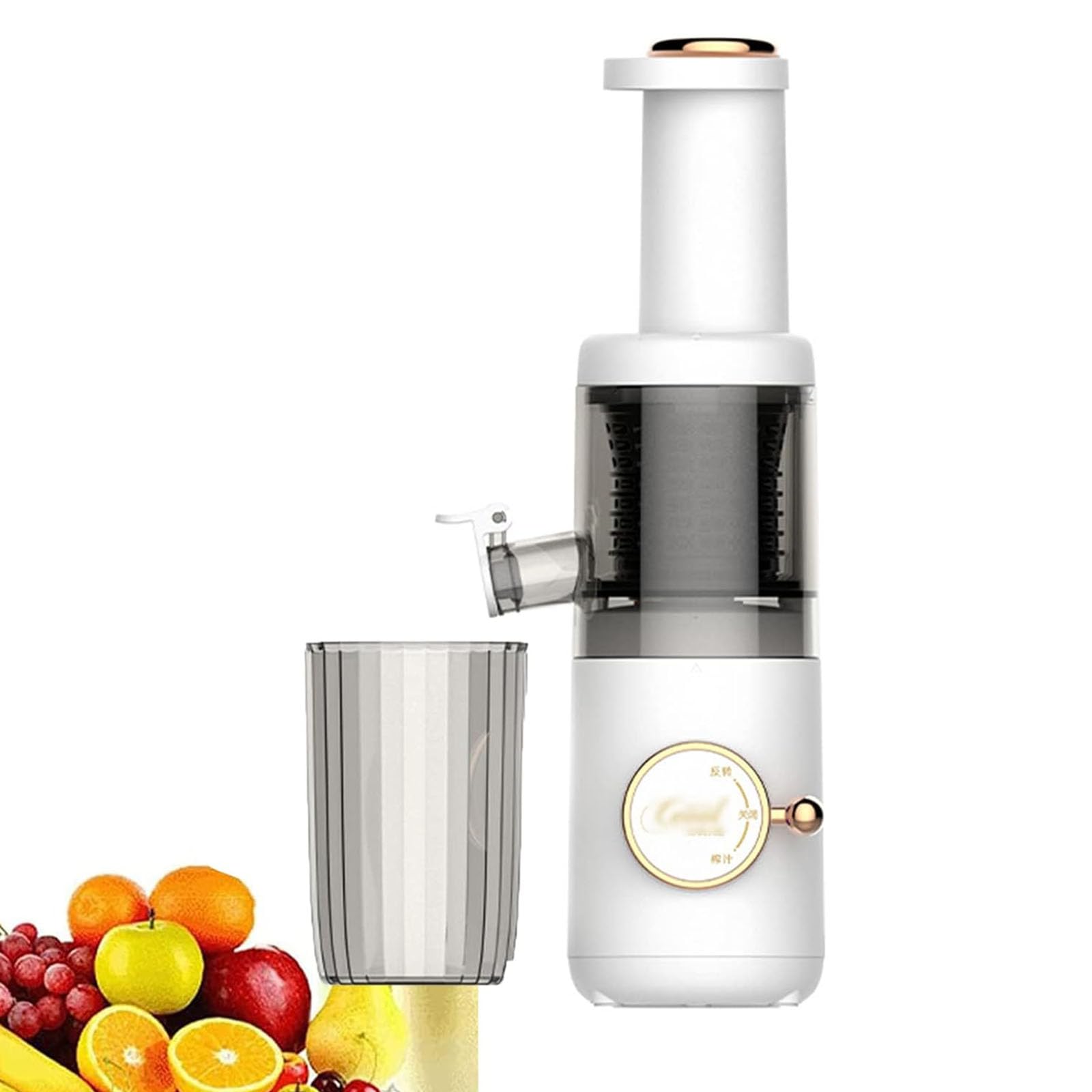 Compact Masticating Slow Juicer, 620ml Electric Cold Press Juicer, Portable Slow Masticating Juicer, 120W Motor, Reverse Function, Easy to Clean, for Citrus, Orange, Fruit, Vegetable