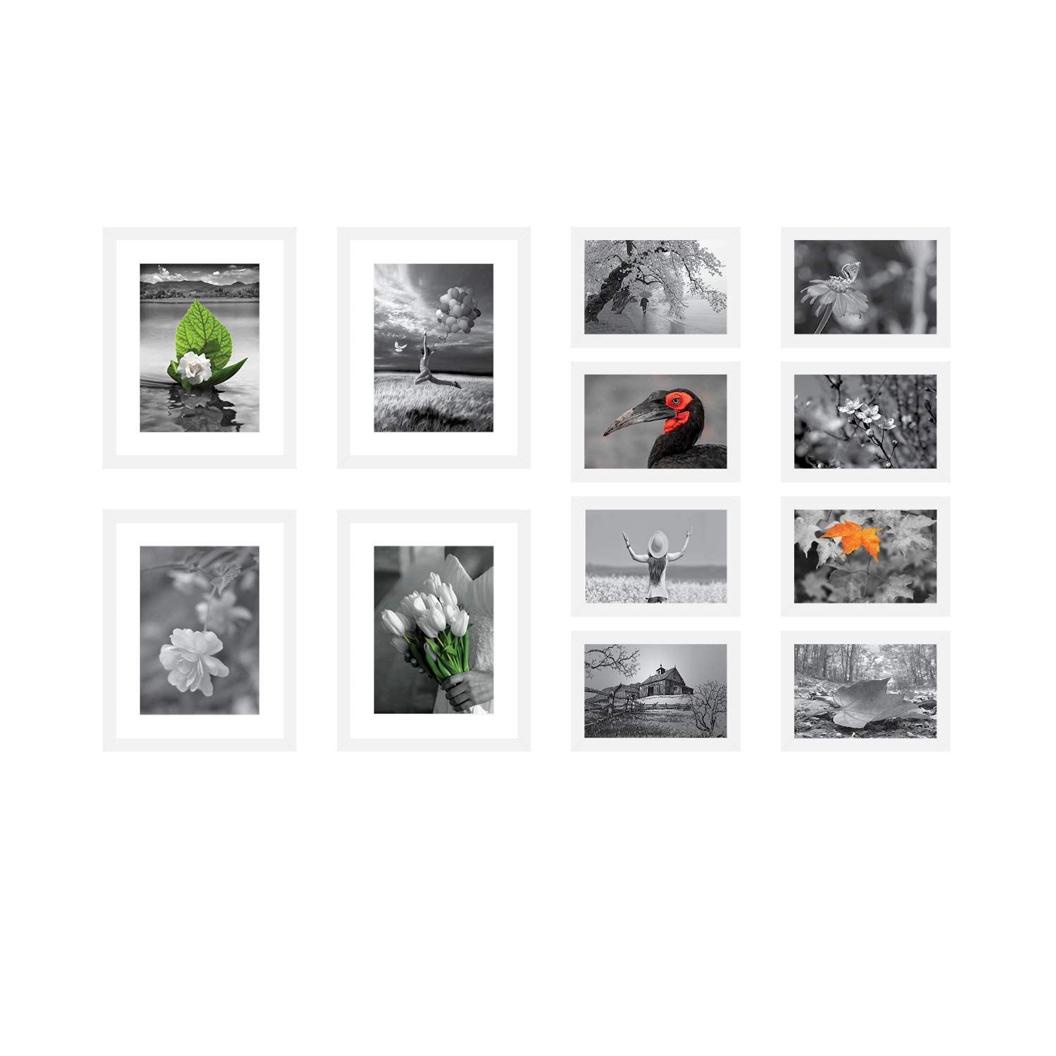 Amazon Brand - Solimo Collage Set of 12 Photo Frames ( 5 X 7 Inch - 8 & 8 X 10 Inch - 4) , White