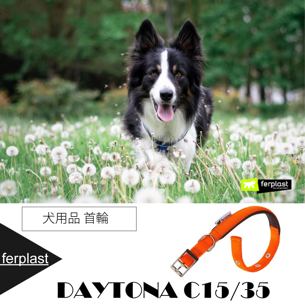 Ferplast Small Dog Collar Adjustable Padded Nylon Dog Collar Metal Buckle, Neck Size 23-31 cm, Orange - Image 2