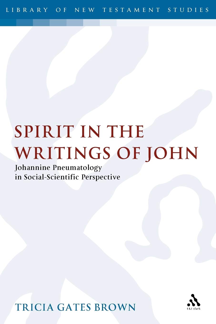 Spirit in the Writings of John: Johannine Pneumatology in Social-Scientific Perspective: v. 253 (The Library of New Testament Studies)