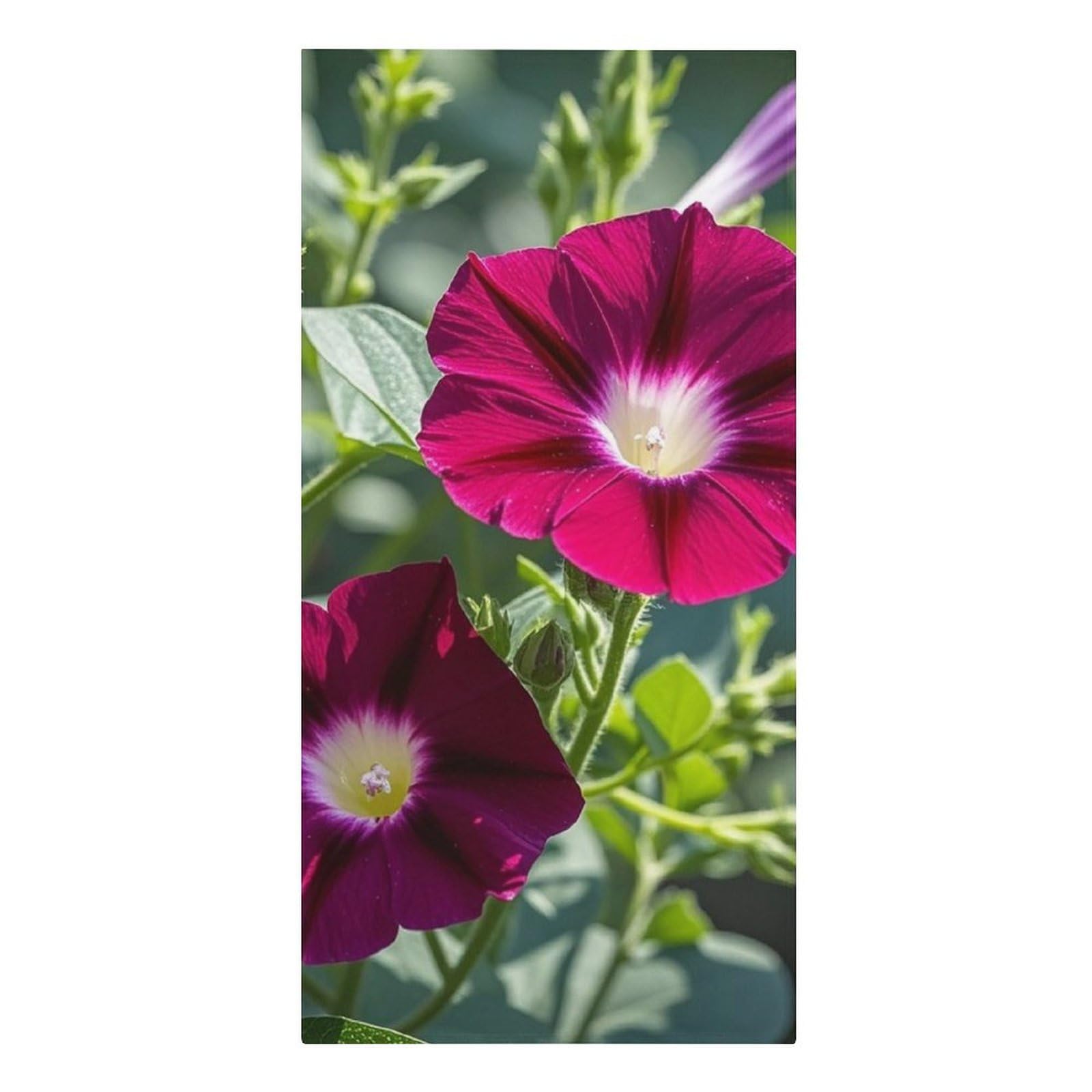 QMNLKH Red Geraniums Beach Towel for Women, Large Microfiber Pool Towel for Men, Absorbent Swim Towels for Home, Lightweight Bath Towels for Camping, Yoga, 30.3"x61.4"