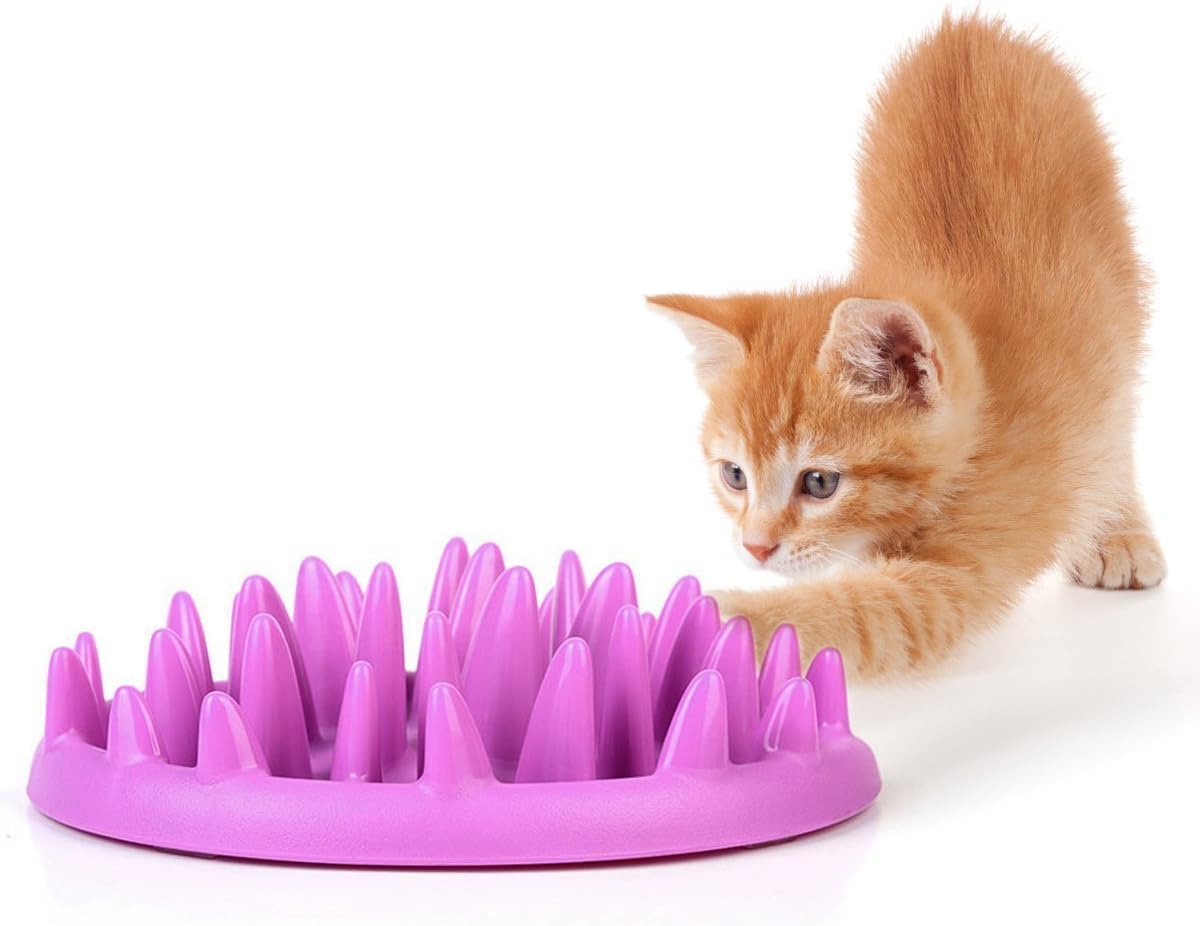 Pet Cat Catch Interactive Feeder Slow Food Feed Bowl