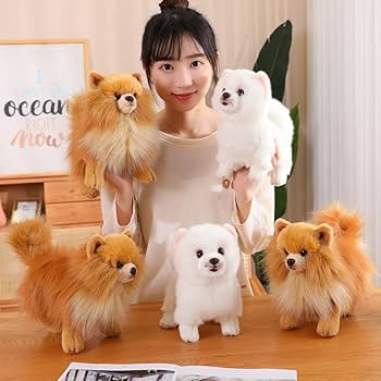 Amazon.co.jp: かわいいポメラニアンのぬいぐるみ – 女の子への