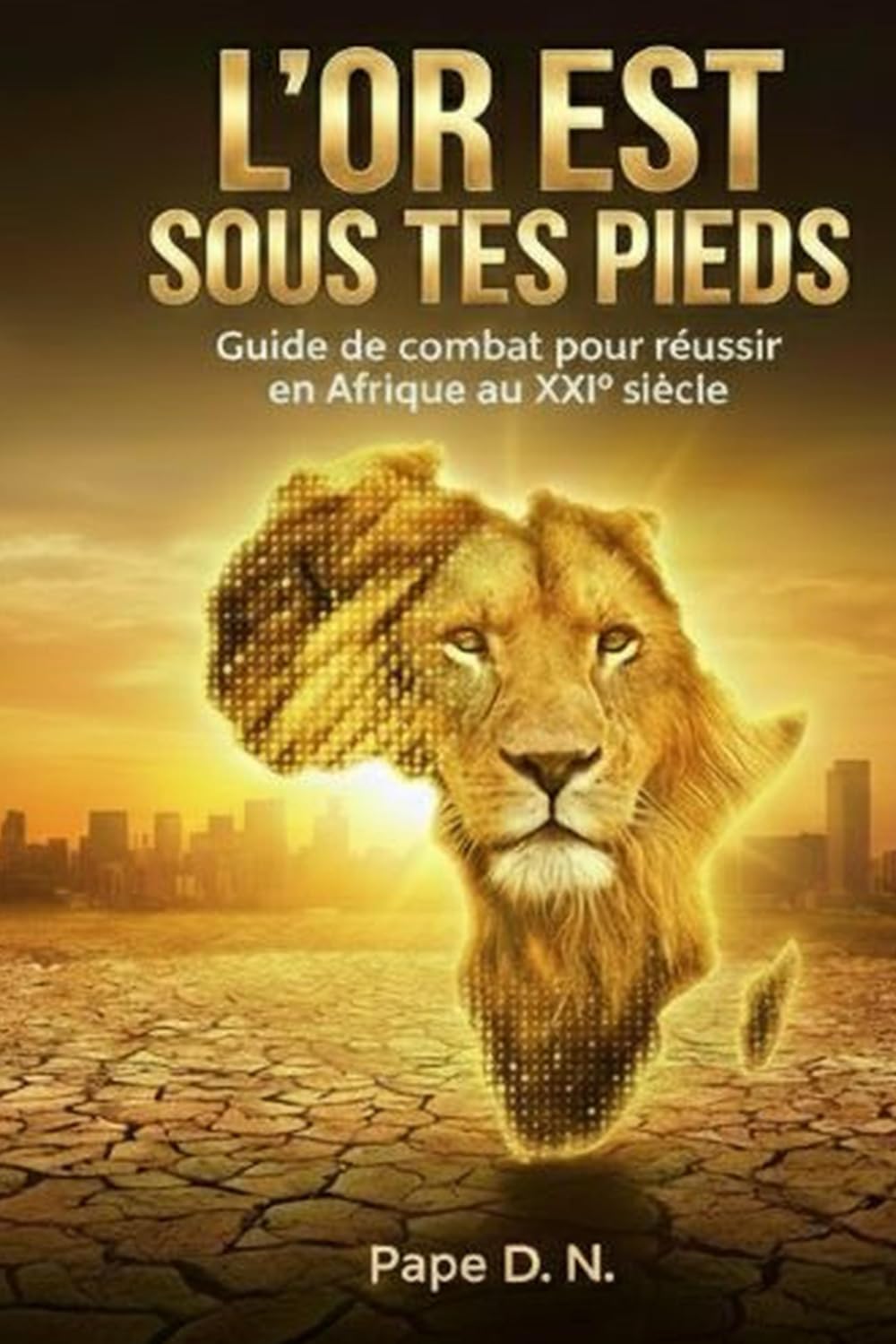 L'OR EST SOUS TES PIEDS: Guide de combat pour réussir en Afrique au XXIe siècle