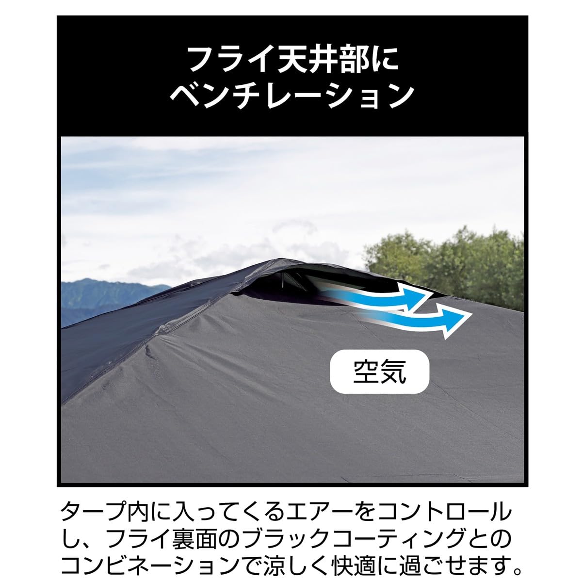 Amazon | キャプテンスタッグ(CAPTAIN STAG) テント タープ サン