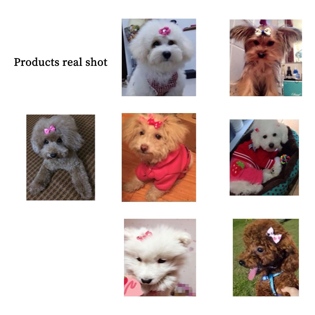 8 Pcs Accessori Per La Toelettatura Dei Cuccioli Peli Di Cucciolo - Foto 2