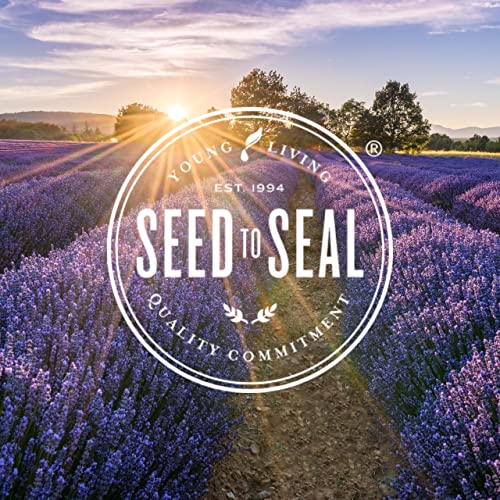 Young Living Desert Mist Diffuser – Ultrasonic Essential Oil Diffuser, Adjustable Mist, Ambient LED Lights, 10-Hour Run Time - Image 7