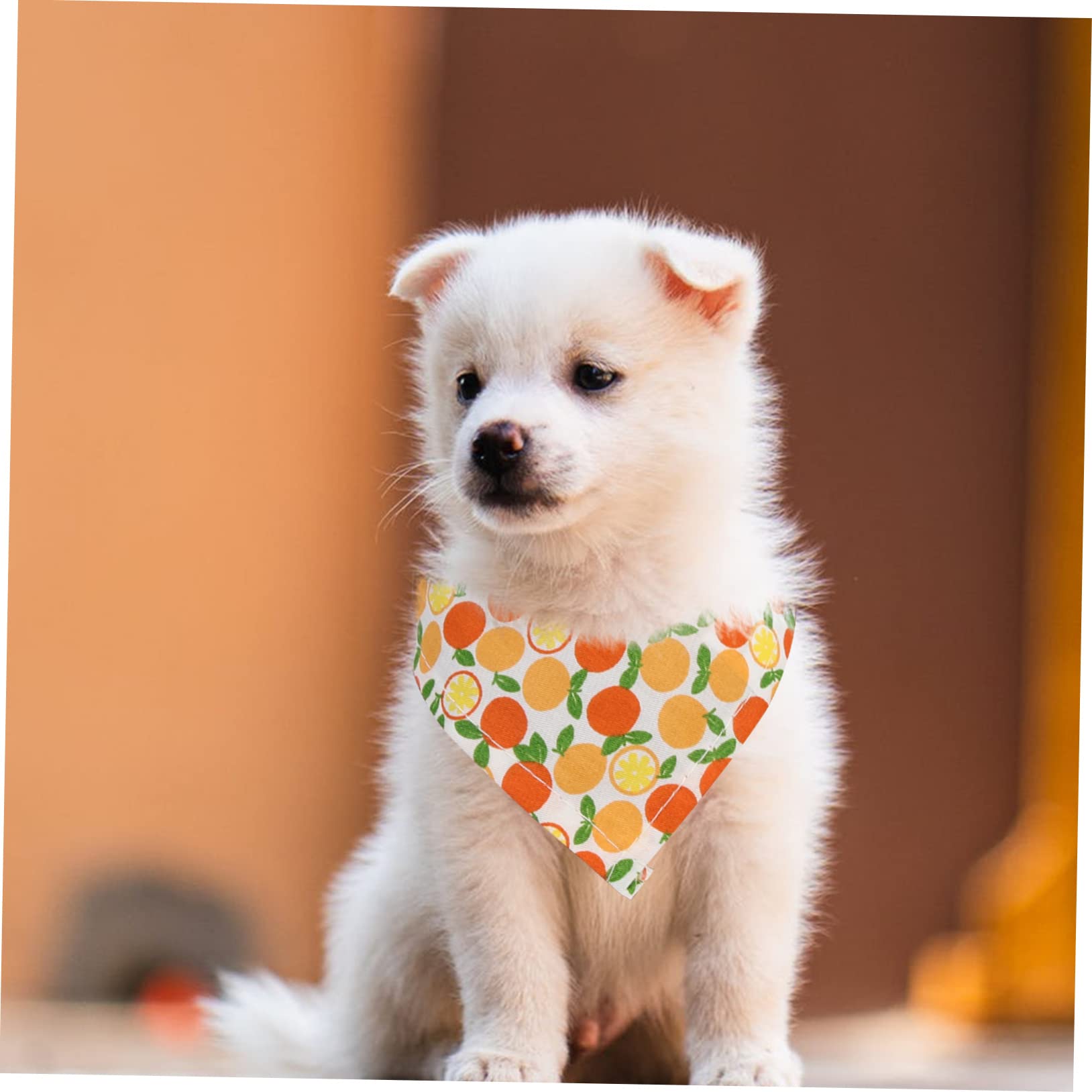 INOOMP 15pièces Bandanas Décoratifs pour Chiens Écharpes Résistantes pour Animaux De Compagnie Accessoires Et pour Et Sorties