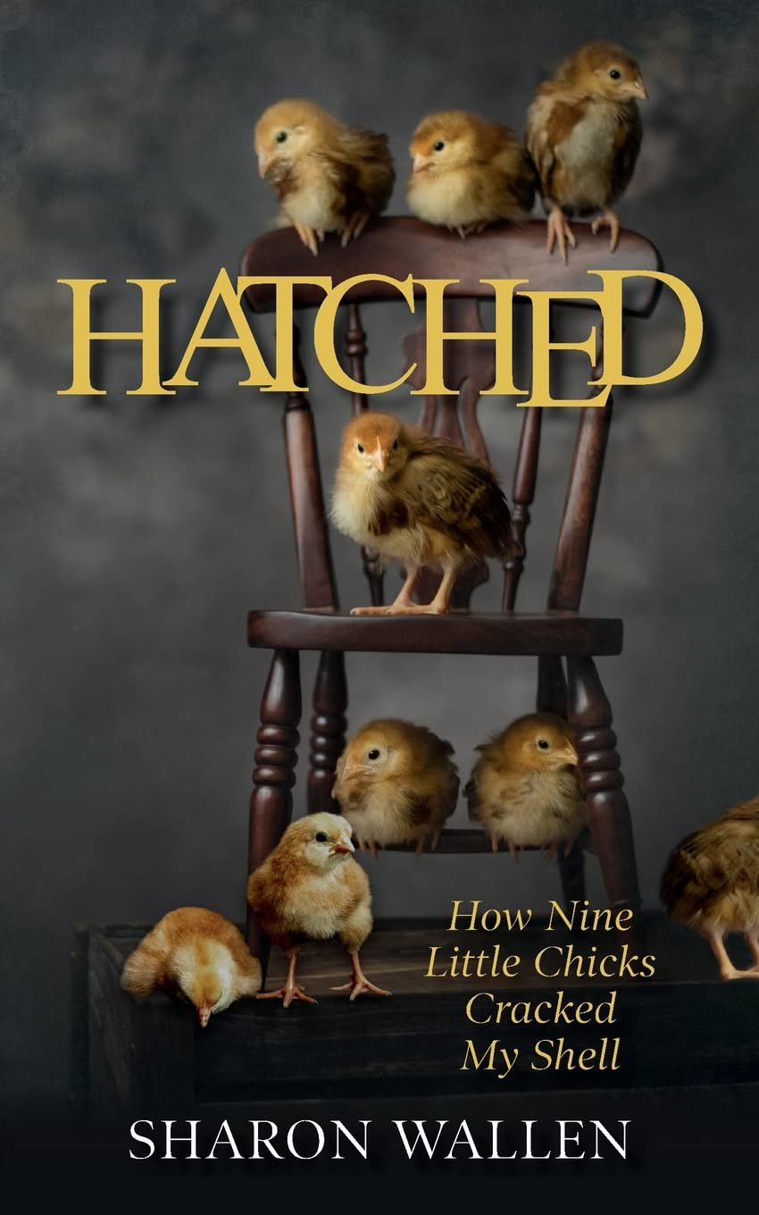 Hatched: How Nine Little Chicks Cracked My Shell