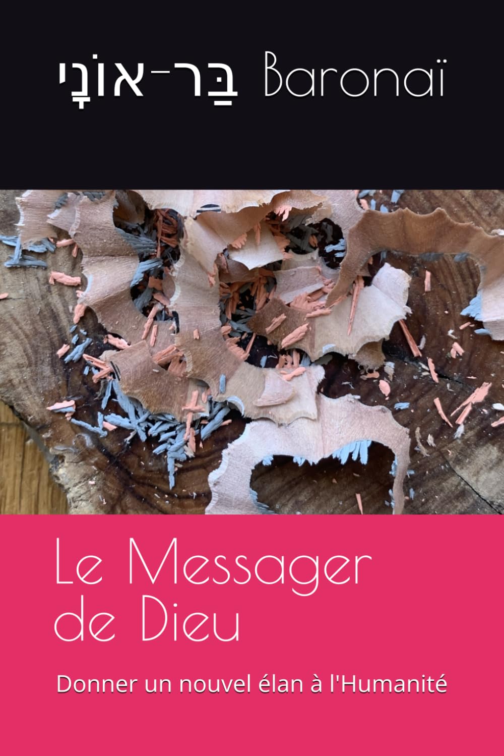 Le Messager de Dieu: Donner un nouvel élan à l'Humanité (Les 24 livres)