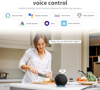 Smart WiFi Light Switch,2 Gang Touch Panel, Works with HomeKit, Alexa, Google Assistant, Timer Function, Smart homekit Switch 100-240V