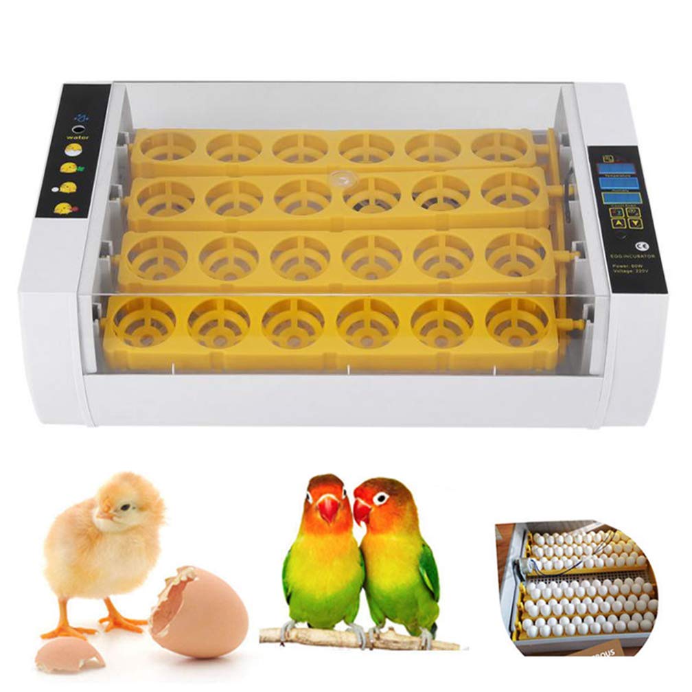 Incubateur d'oeufs 24 éclosoirs numériques contrôle de température pour élevage volailles