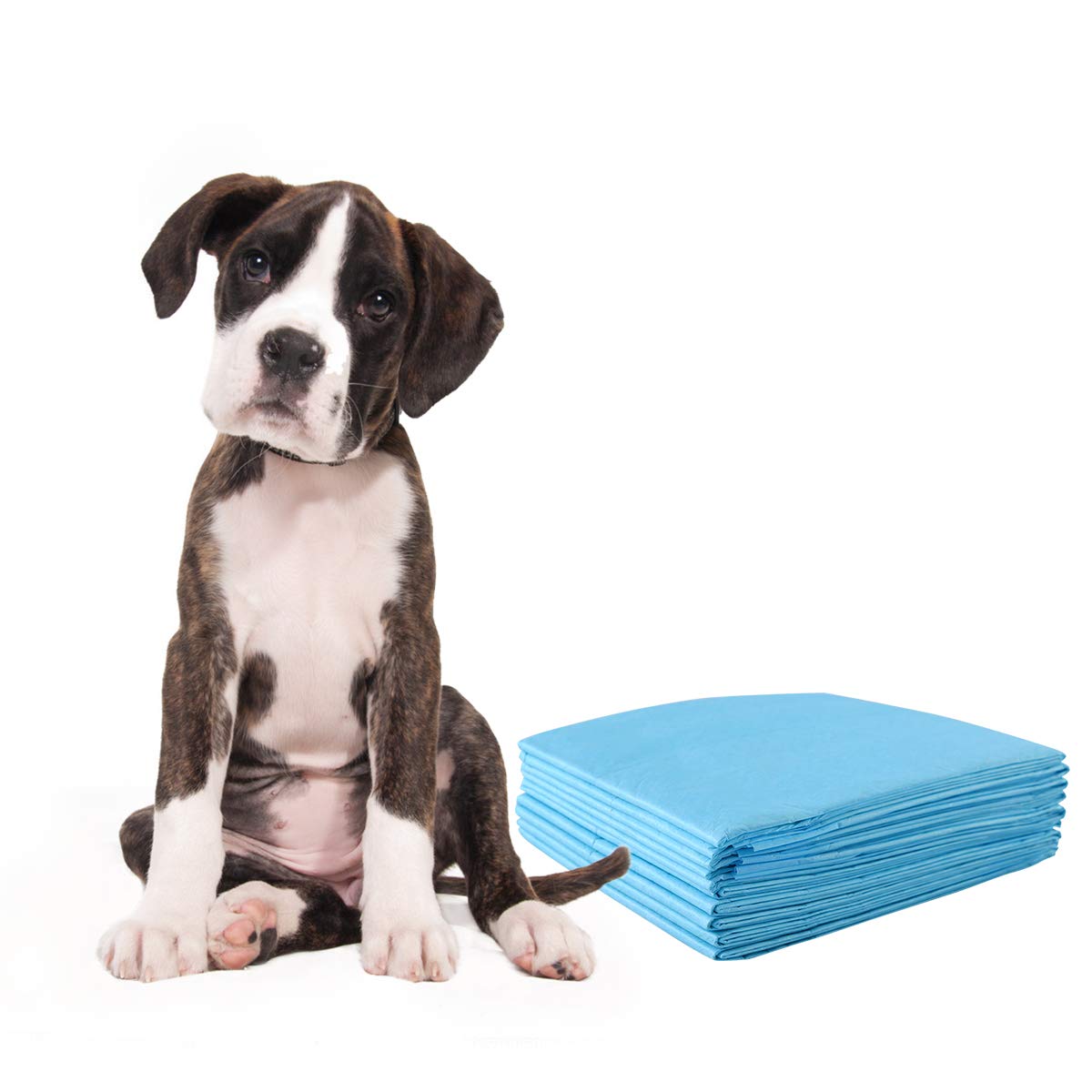 RELAX4LIFE Hygieneunterlagen Einwegpad, Welpenunterlagen aus Faservlies & Fließpapier, Saugstarke Trainingsunterlagen für Welpen & Hunde, für Hundetoiletten/Zwinger/Haustierbeutel (60x90cm, 150 Stück)