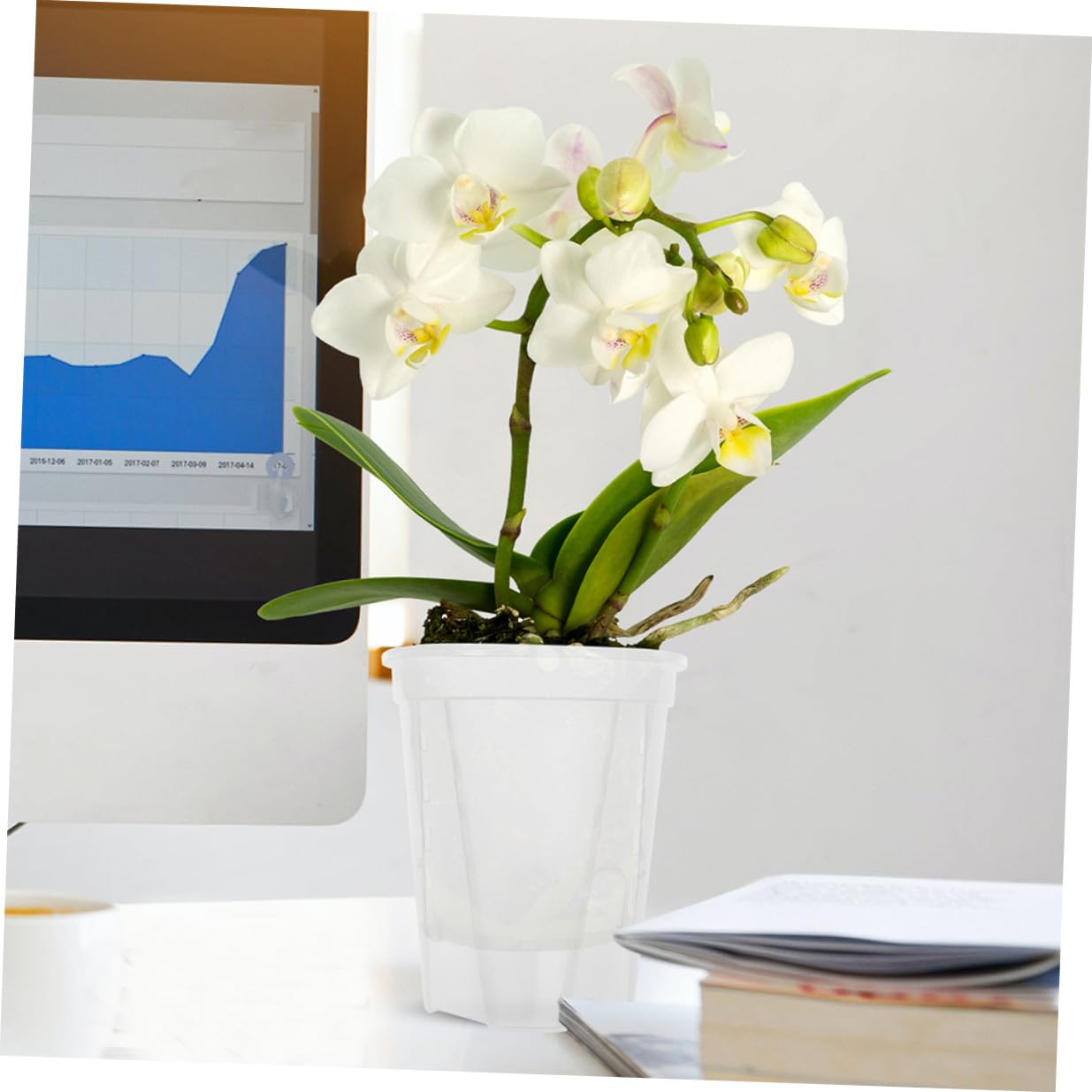 Blumentöpfe Selbstbewässernde aus PP für Orchideen