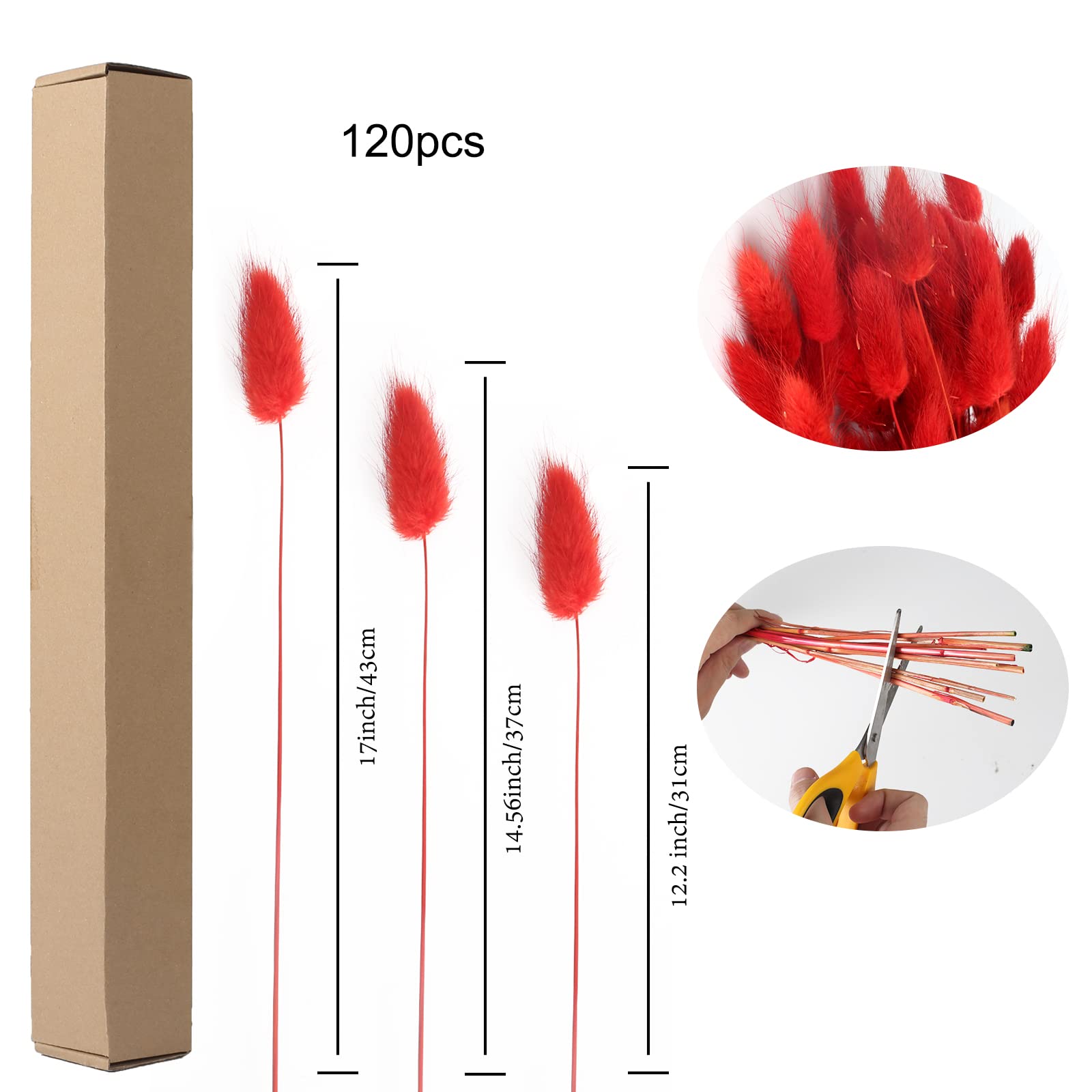 HUAESIN 120PCS Fiori Secchi Coda di Coniglio Erba della Pampas Naturali Bouquet Fiori di Pampas Erba Coda di Coniglio Rosso Pampas Decorative Secche per Casa Tavolo Festa