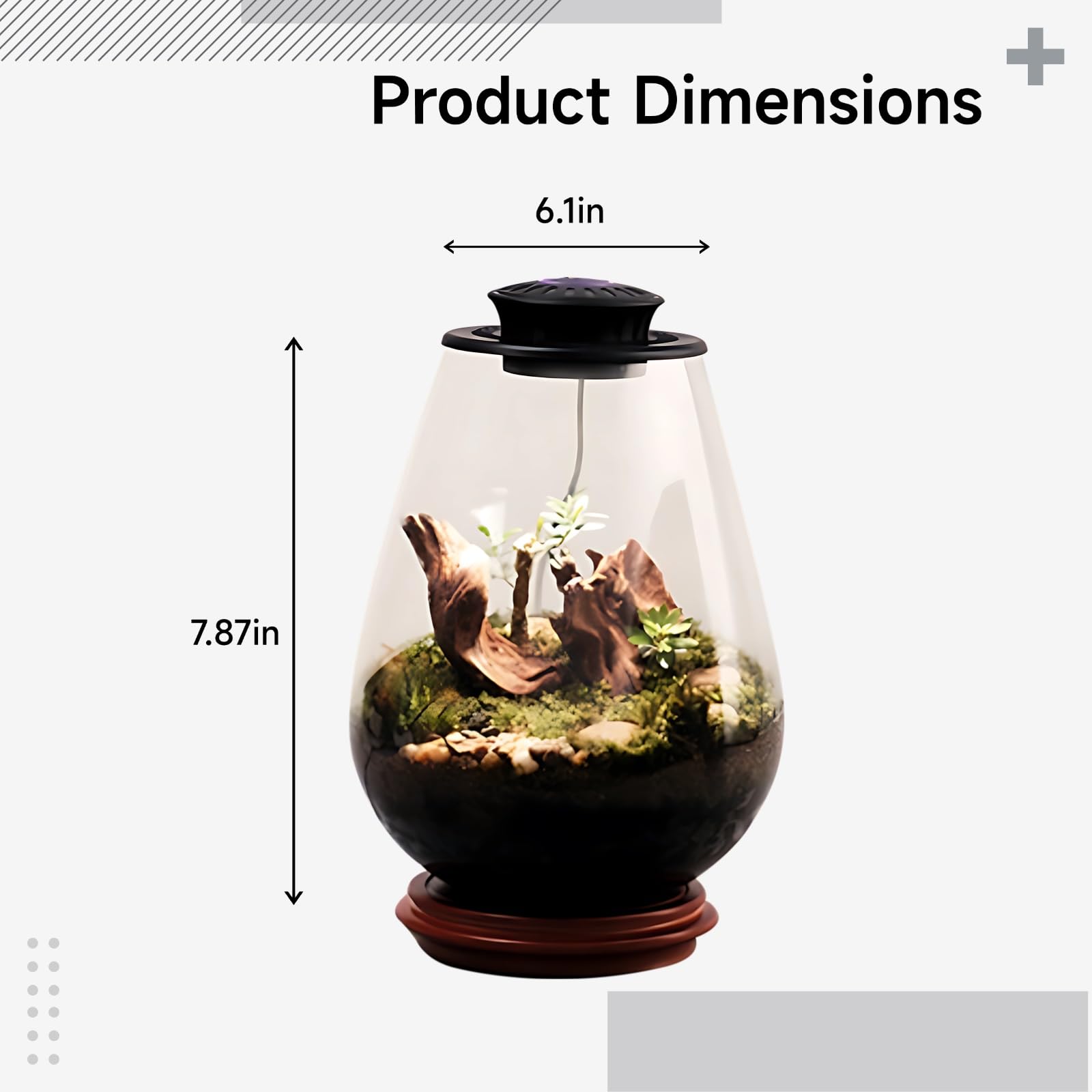Szklane terrarium na rośliny z oświetleniem UFO LED, ekosystem biurkowy z mchem, 5 V, 2 A, czarne światło, do biura i wystroju domu, w zestawie butelka ociekowa i kabel typu C