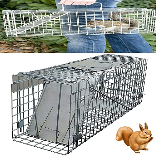 Humane Mouse Traps Indoor for Home, Heavy Duty Squirrel Trap Large Cage Trap for Live Animals, Squirrel, Raccoon, Galvanised Mesh Live-Catch Trap, Easy Installation and Use, 24