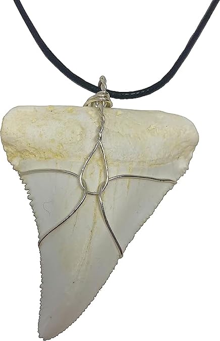 Large Realistic Replica Great White Shark Tooth Necklace