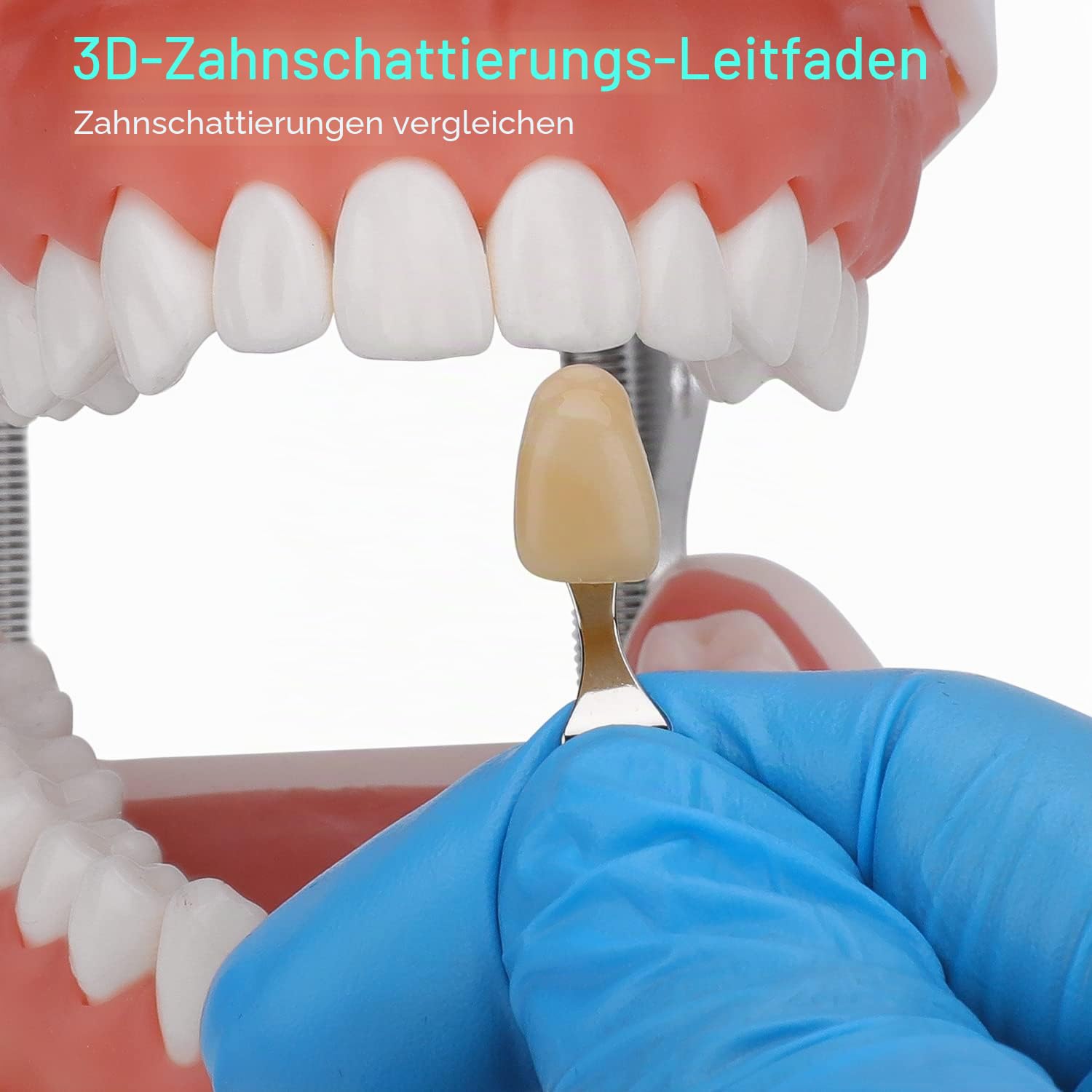 Dental Shade Guide Professionelle 3D R-20 Zahnaufhellung Diagramm mit 20 Farben Zahnschattierungsführung mit Spiegel