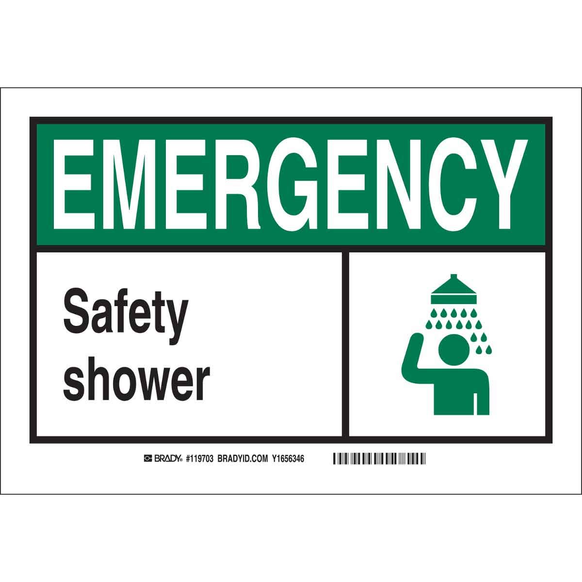 Brady119737 GID Plastic "Emergency Safety Shower" Office and Facility Sign, Black/Green/White