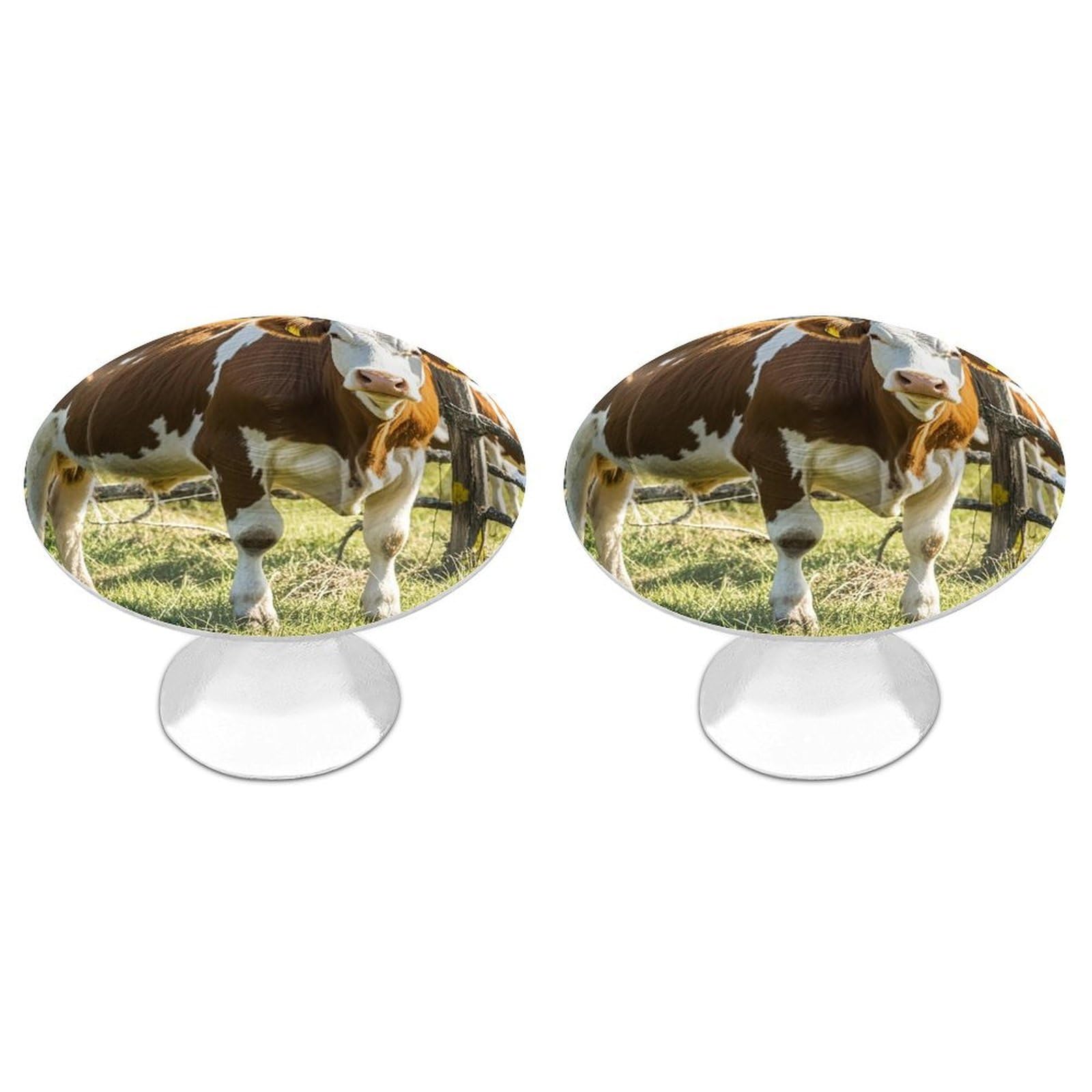 FekiLoot Farm Cow Pictures Cabinet Knob Kitchen Drawer Knob Stainless Steel Round Drawer Pulls Modern Cabinet Hardware Vintage Dresser Drawer for Kitchen Bathroom Closet Dresser Cabinets