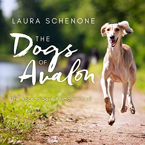 The Dogs of Avalon [Written by Laura Schenone]